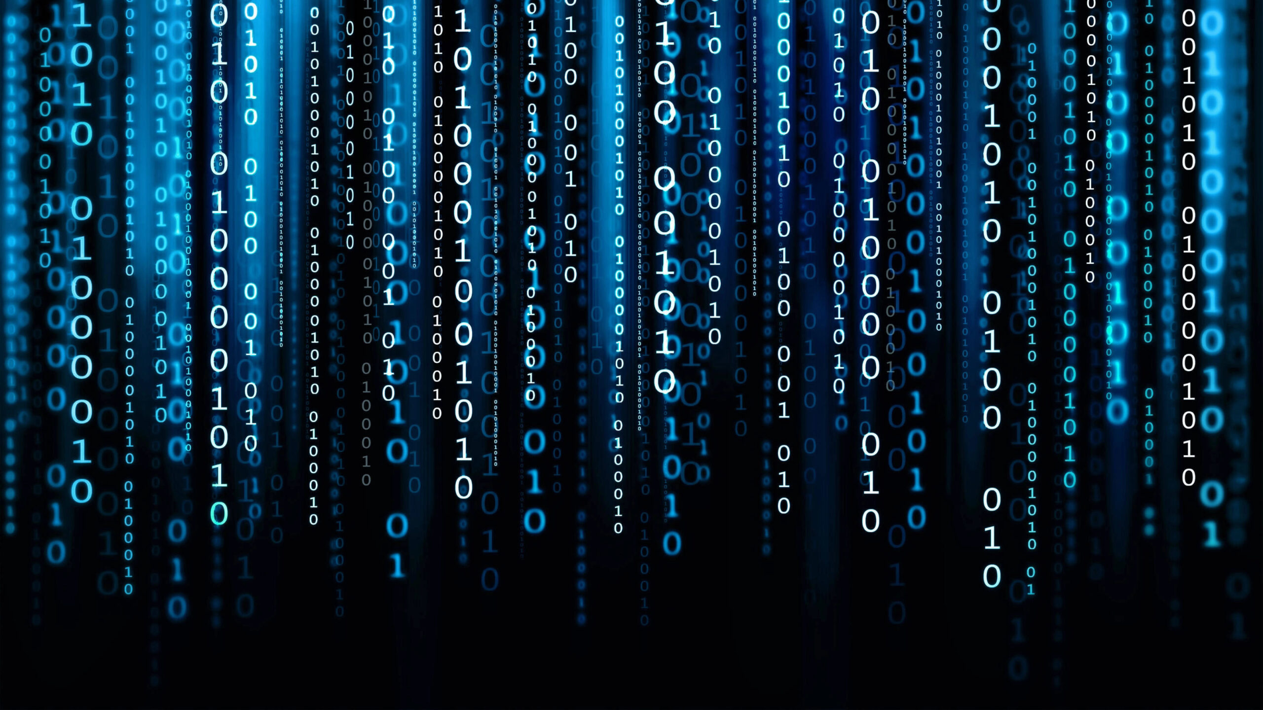 ERP Nedir?