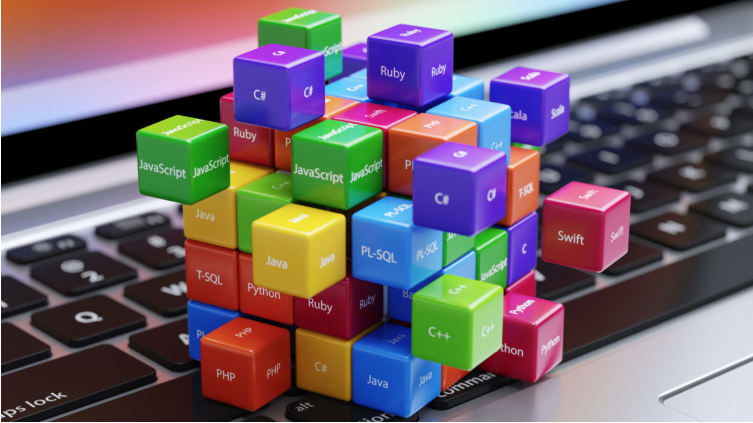 Logo Netsis Yazılımı  Nedir?